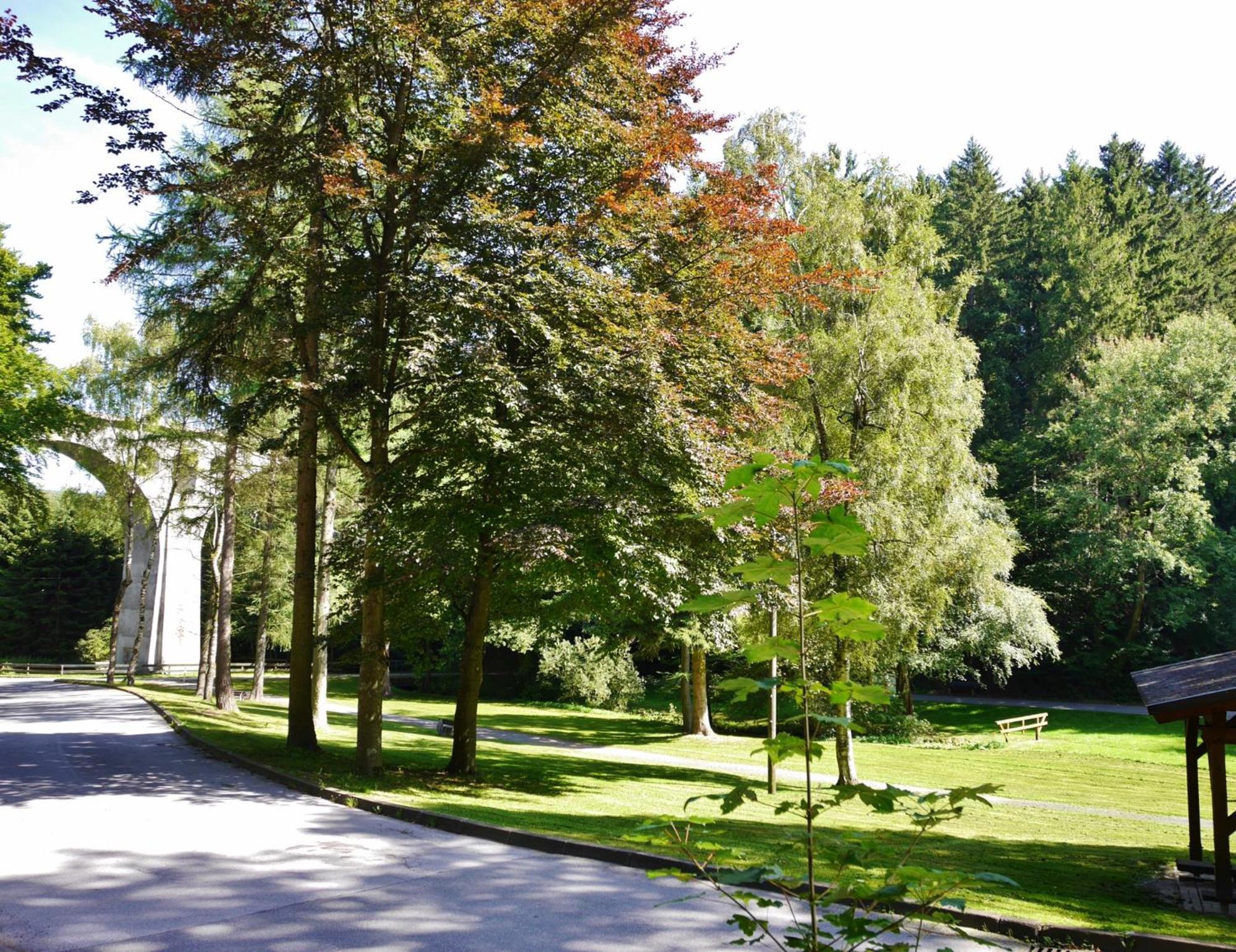 Appartement Happynest*** Mit Hallenbad Willingen  Exterior foto